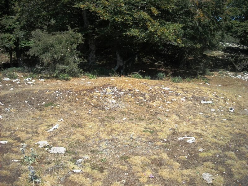 Los Rasos 2