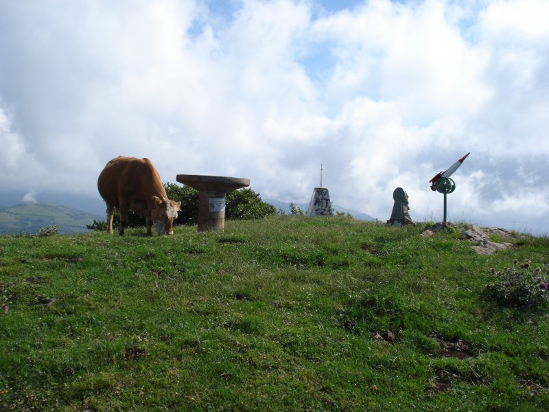 Tontorra