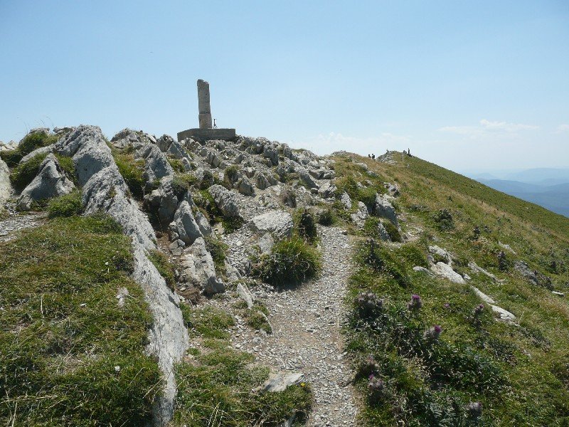 Tontorra