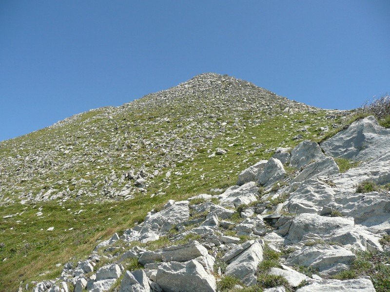 Tontorra
