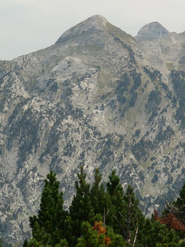 Ukerdi