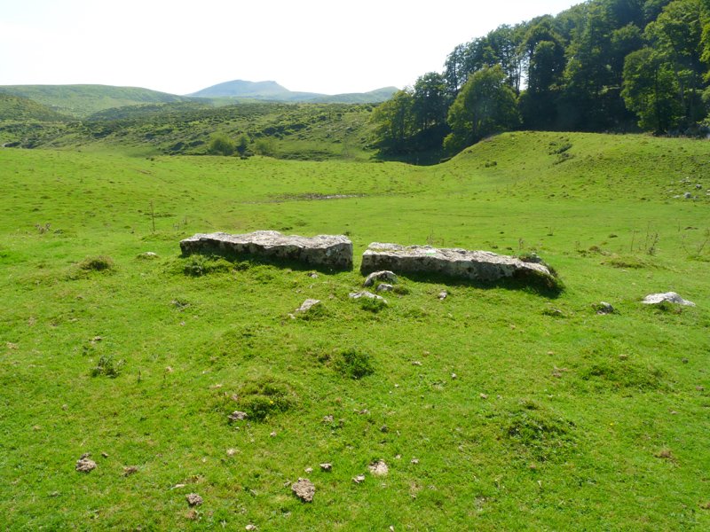 Ursarioko zutarria