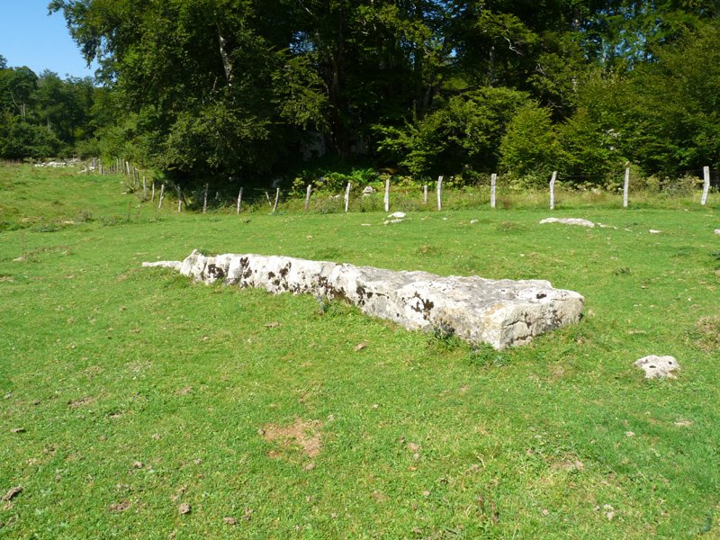 Ursarioko zutarria