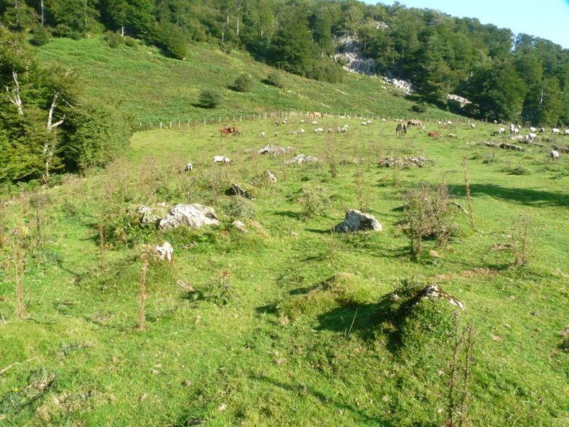 Azpegi ipar