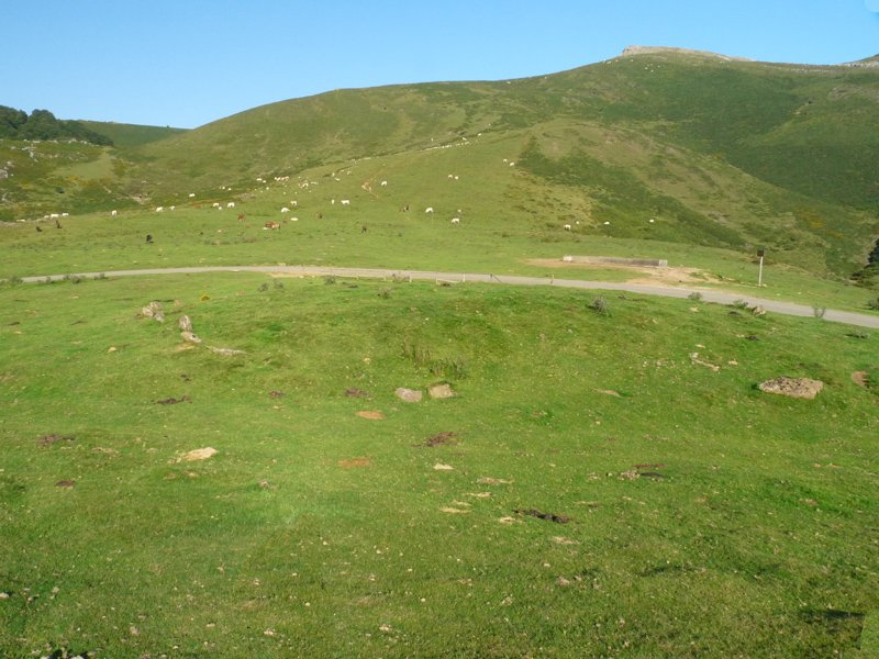 Azpegiko lepoa