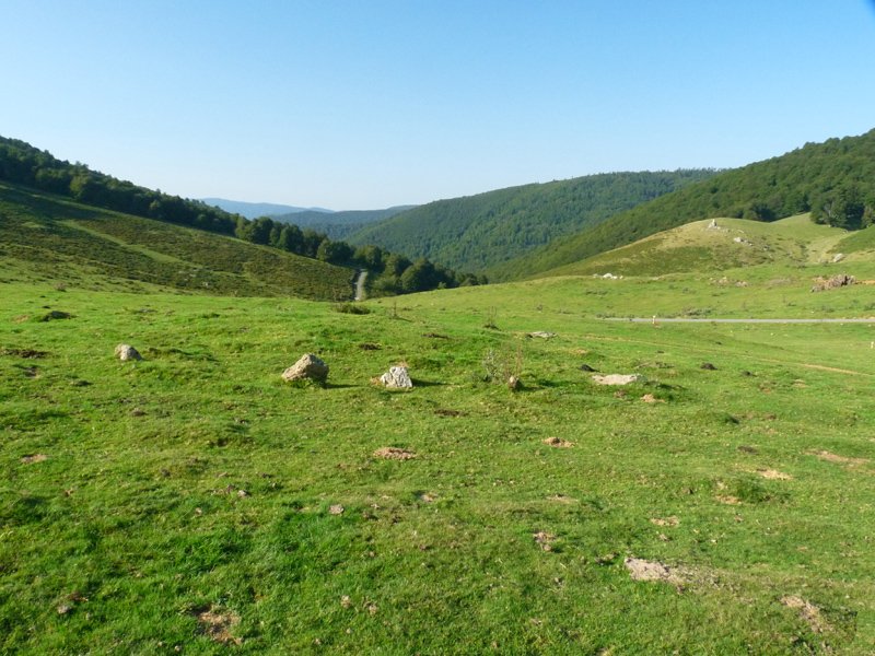 Azpegiko lepoa