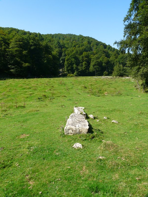 Ursarioko zutarria