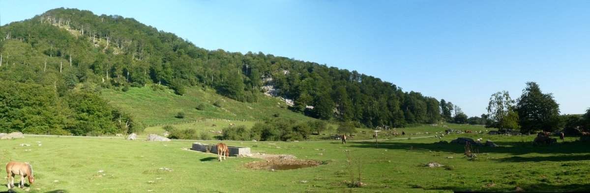 Arratakako iturria