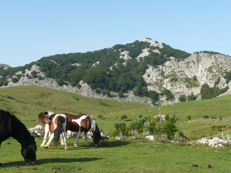 Arrabatik
