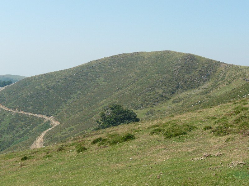 Ipargorta
