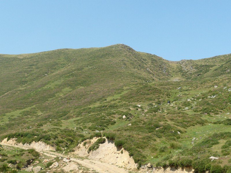 Ipargorta