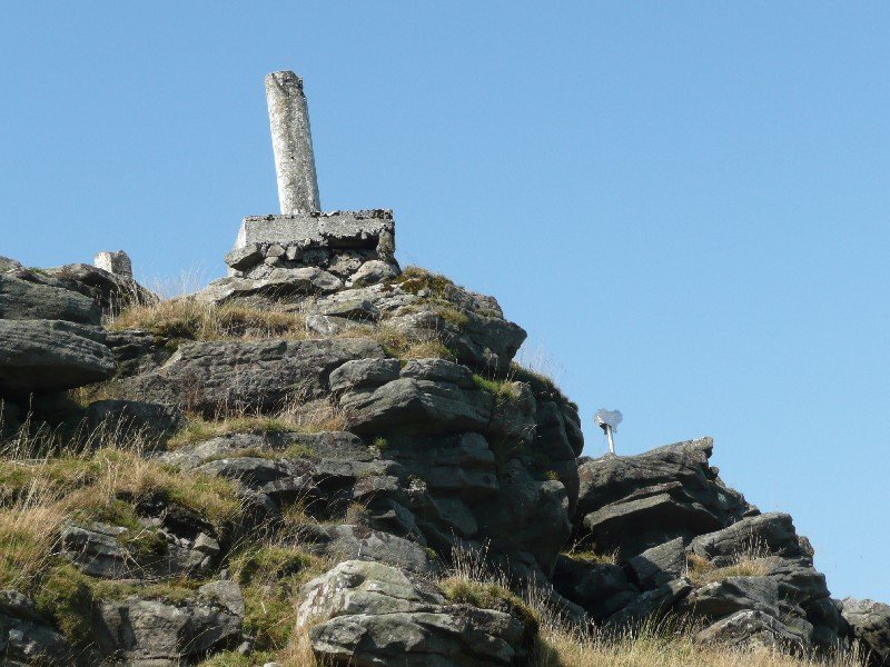 Tontorra