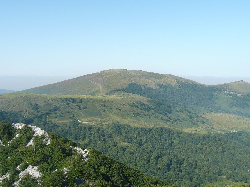 Altipitatxetik