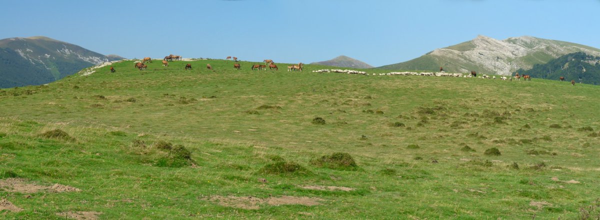 Saiarriko gailurra