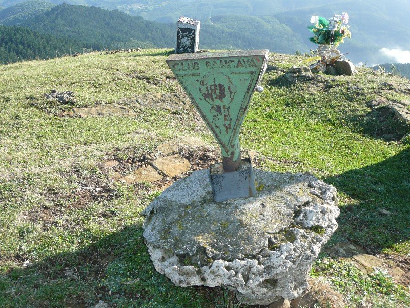 Buzoia