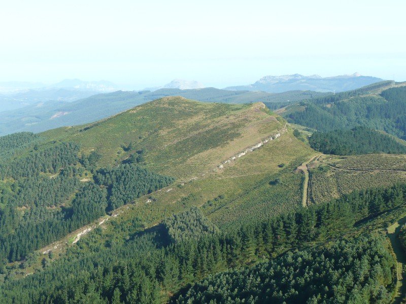 Alendik