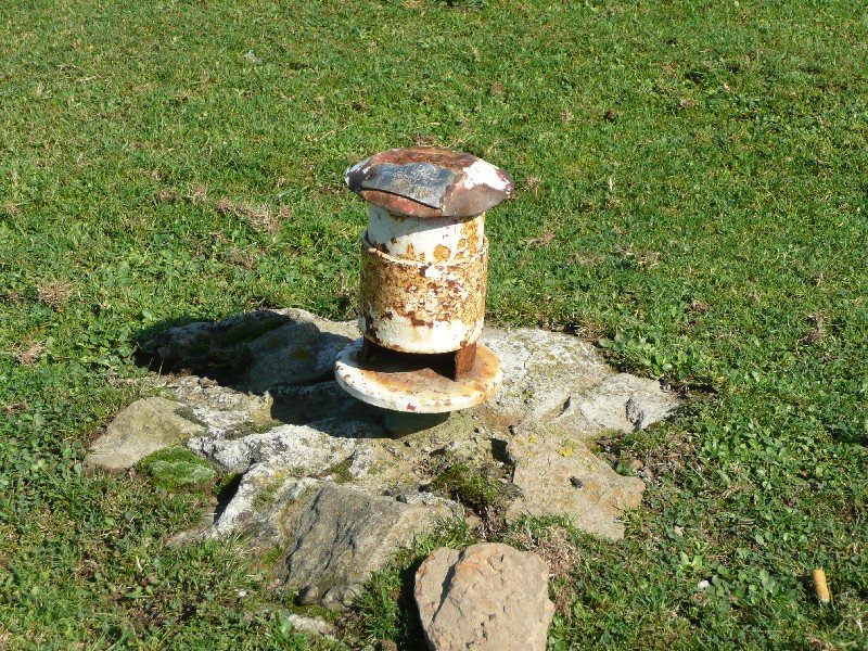 Buzoia