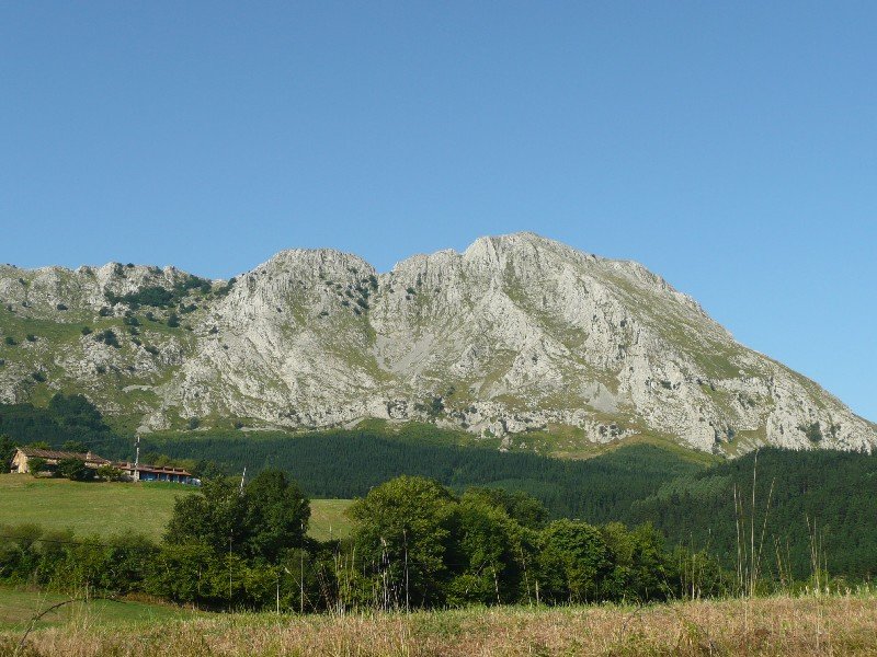 Axpetik