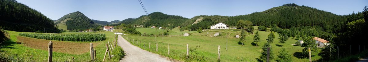 Olatz