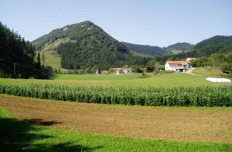 Olatz