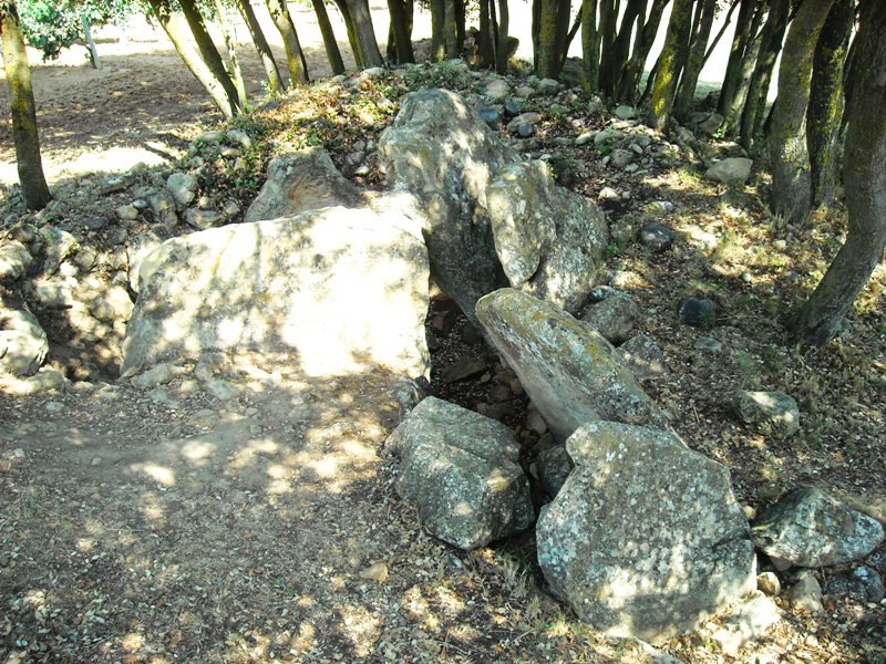 El Encinal