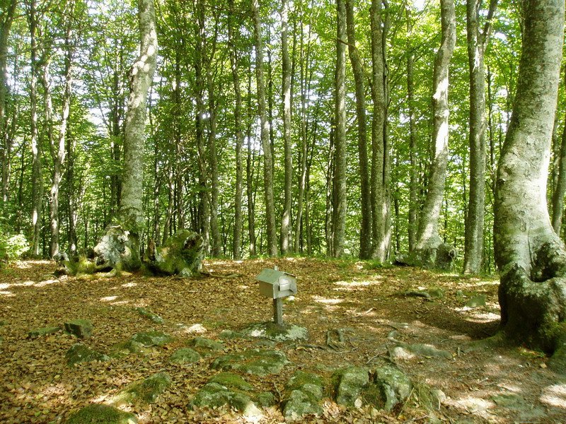 Astaizeko tontorra