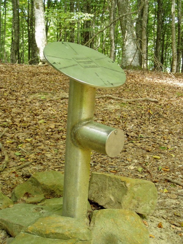 Erdiko tontorreko txartelontzia