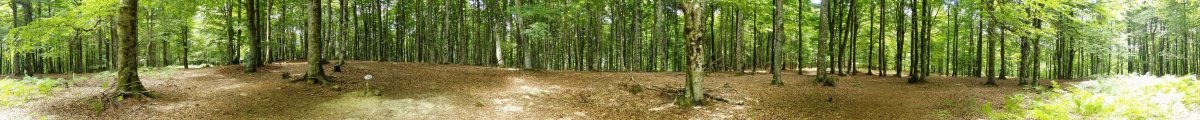 Erdiko tontorretik 360ºtako ikuspegia
