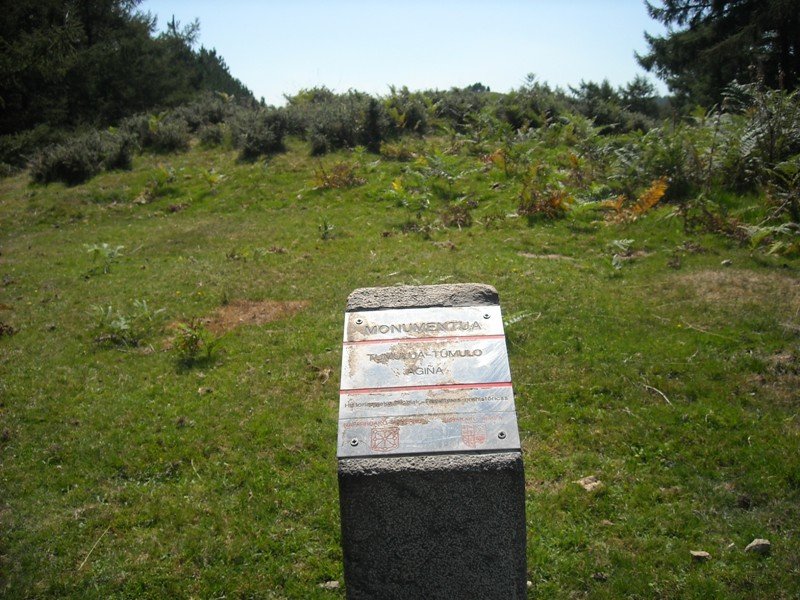 Agiña