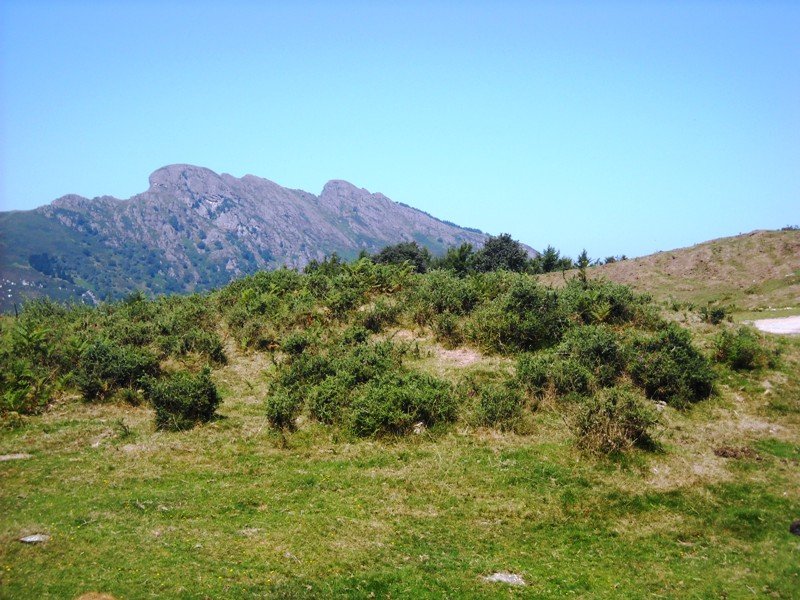 Agiña