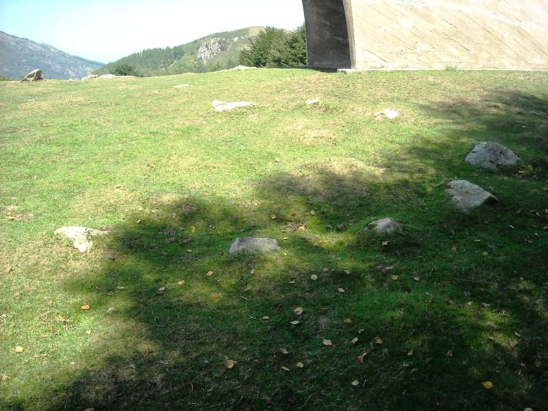 Agiña hego