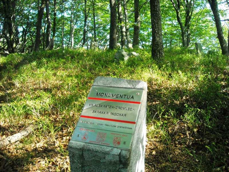 Baraxar Pagoxar
