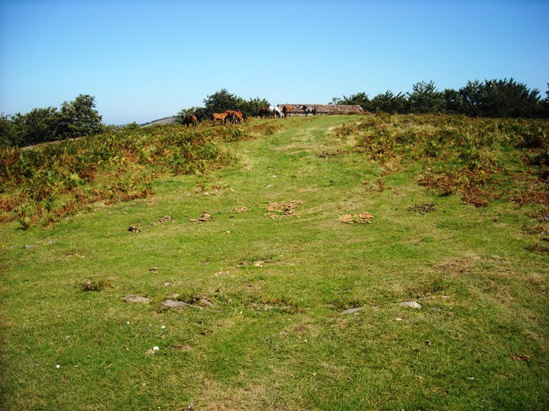 Sorageta