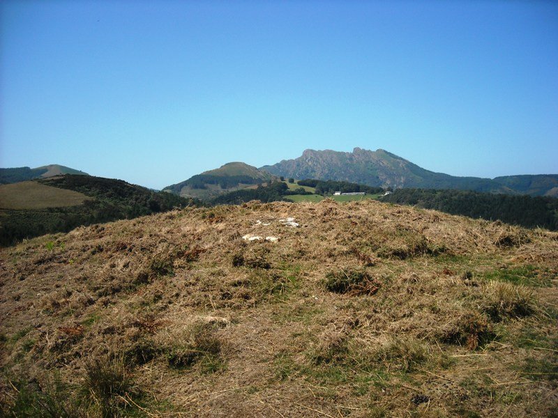 Deskarga