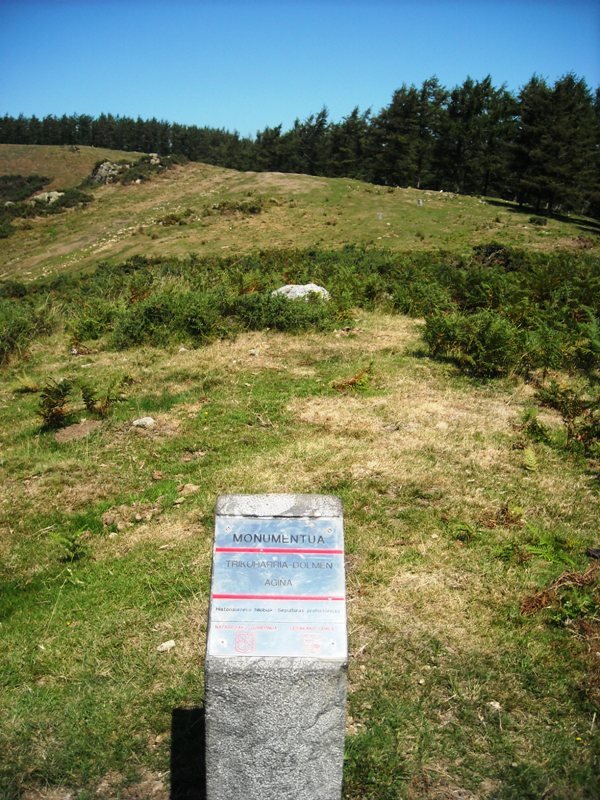 Agiña