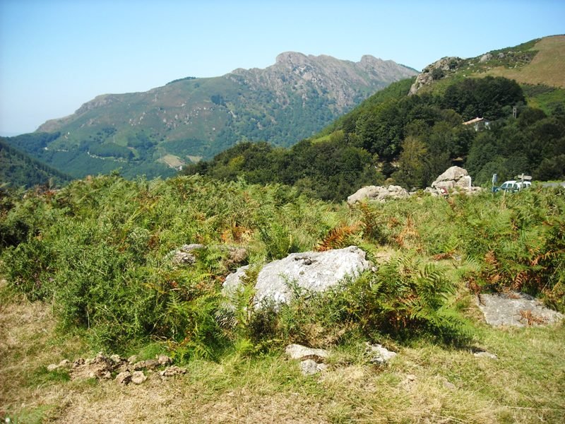 Agiña