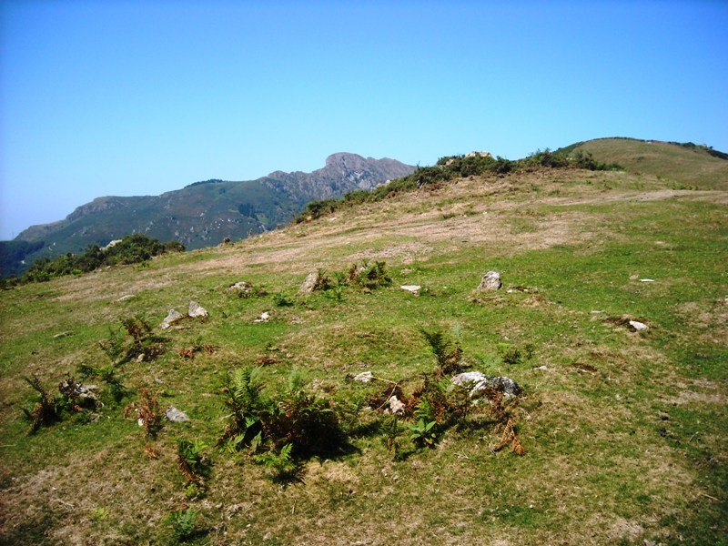 Agiña ipar