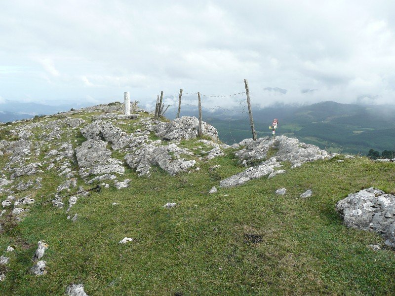 Tontorra