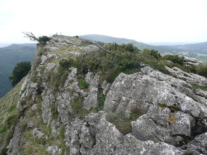 Tontorra