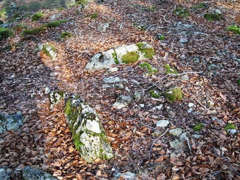 Kortagaña