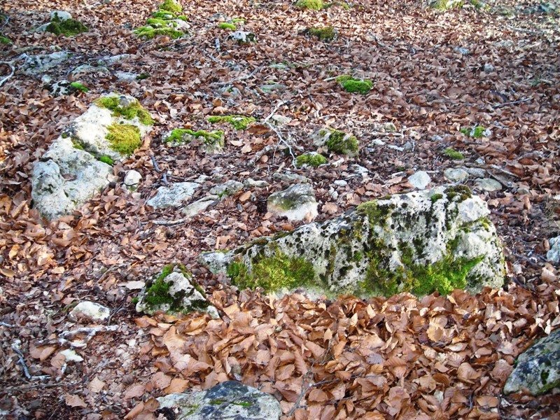 Kortagaña