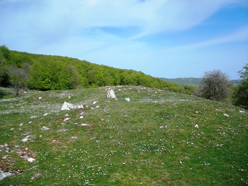Santa Teodosia