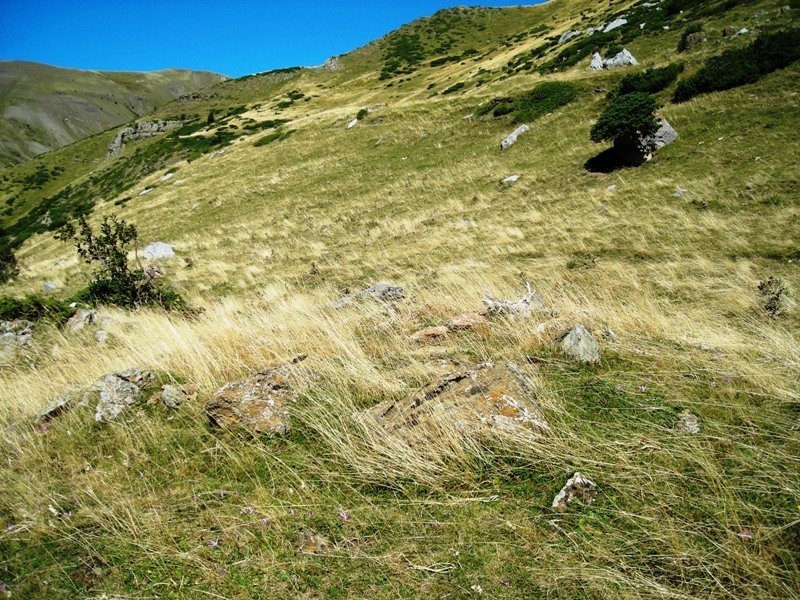 Barranco Rigüelo