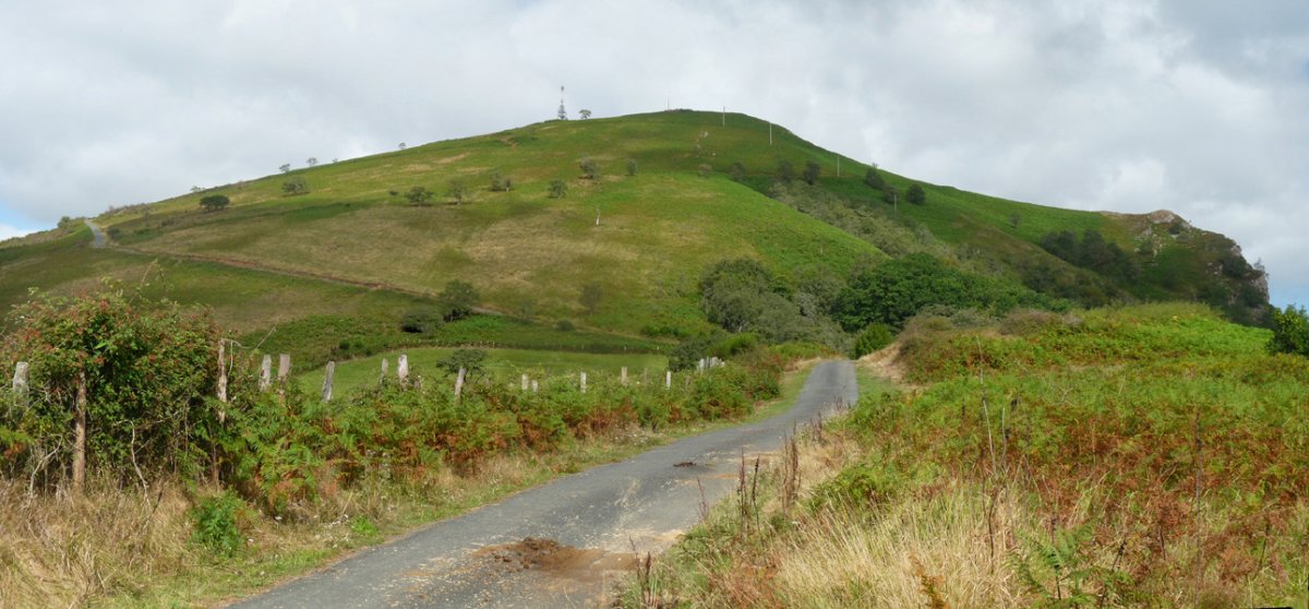 Jara