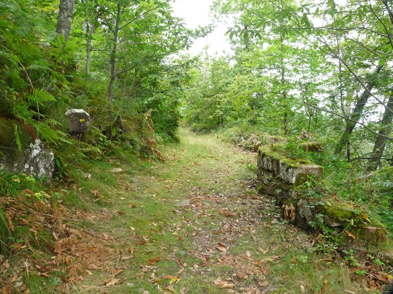 Arradoiko bidea
