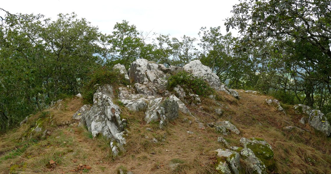 Arradoiko gailurra