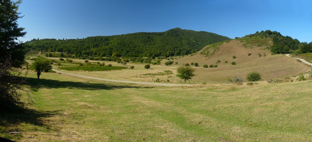Otsolako larreak