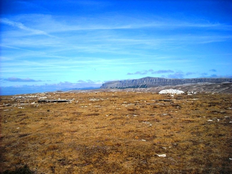 Larrengabela