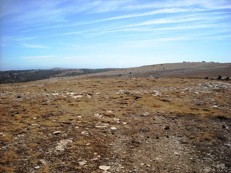 Larrengabela