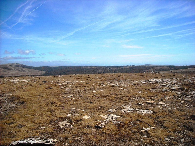 Larrengabela